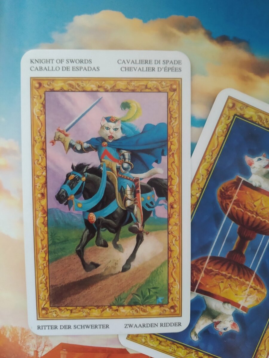 Рыцарь мечей Таро Белых кошек