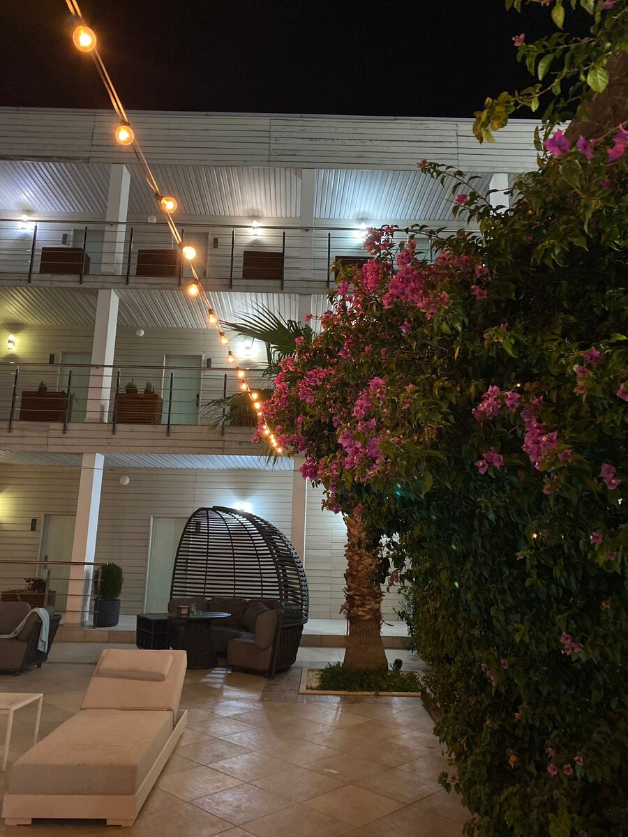 Гагра зимой