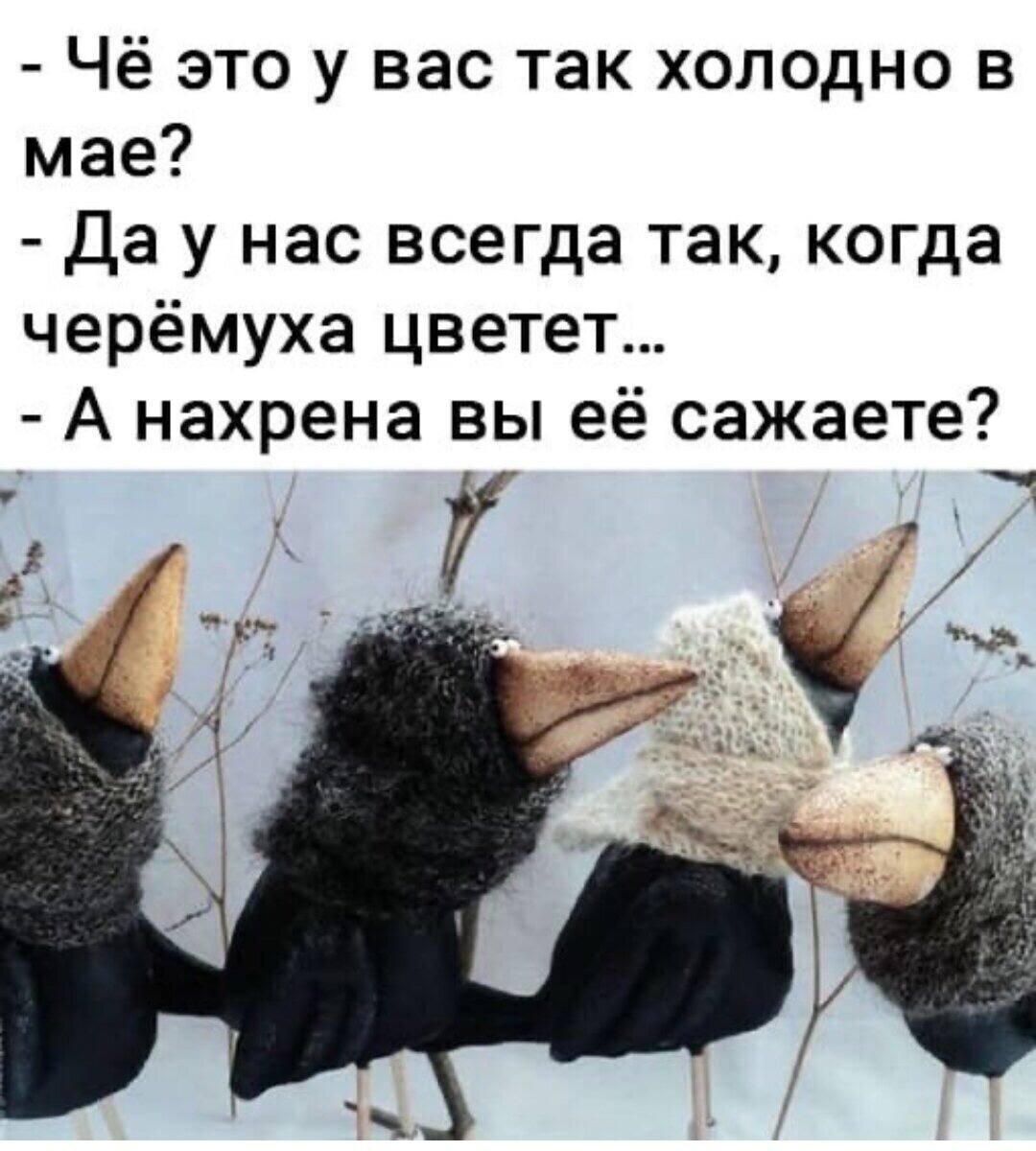 У нас холодно будет. Так холодно. Че это у вас так холодно в мае. Че так холодно. Что это у вас так холодно в мае.