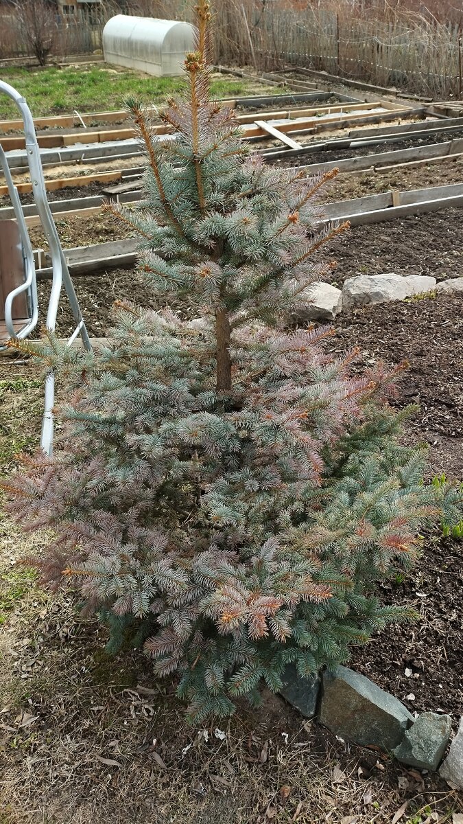 Фотография автора