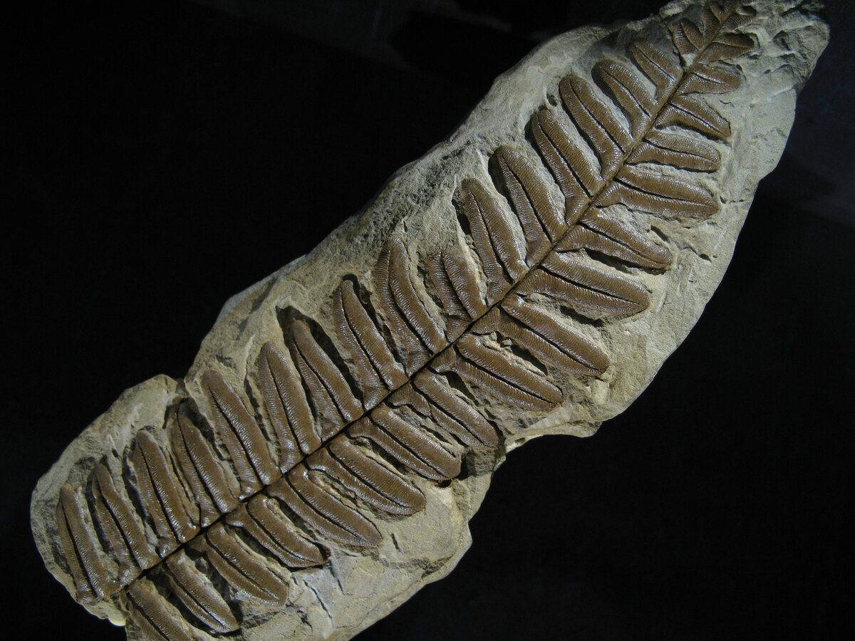     / Gettyimages.ru / benedek