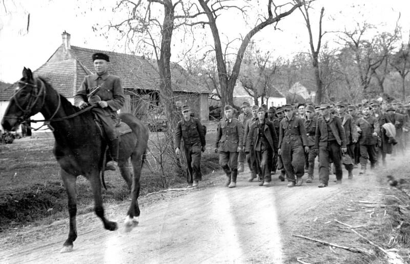 Конный красноармеец и немецкие военнопленные, 1945 год. 
Фотография: Юрий Губанов.