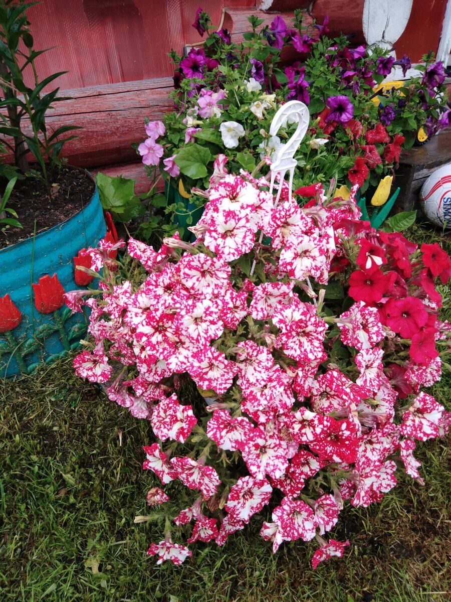    Фото: Первый женский / Анна Полякова Анна Полякова