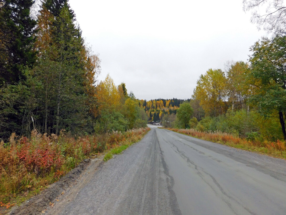 Просёлочная дорога из посёлка Рускеала в горный парк "Рускеала". сент.2017 г. Фото автора.
