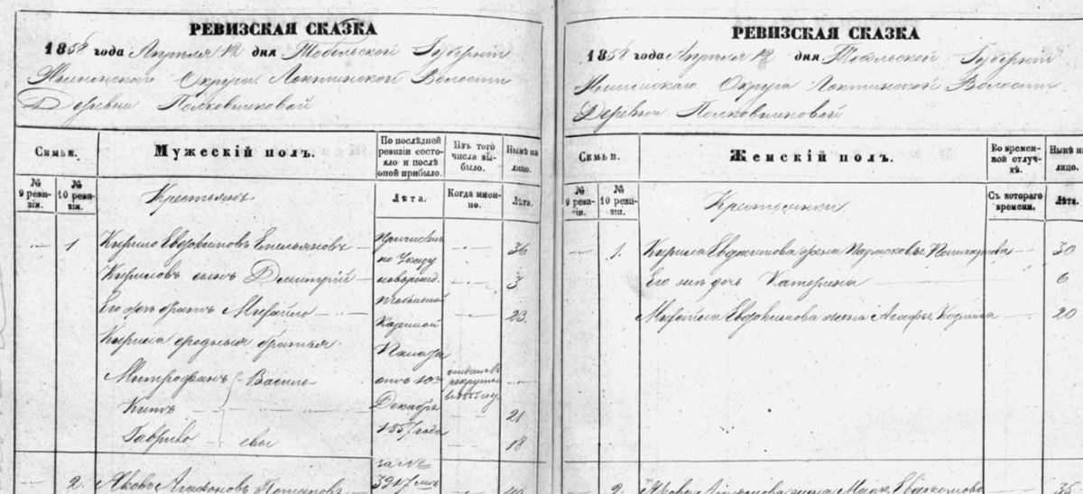 Причислены по Указу Тобольской Казенной Палаты от 10-го декабря 1857 года. Запись 3917 Тульской Губернии.
