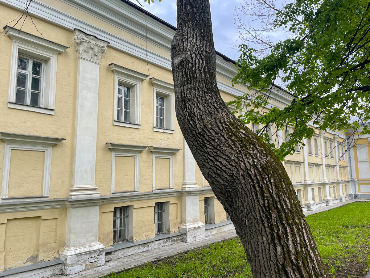 Прогулка по Москве. Идем смотреть Дворец Петра I на Яузе. Старинные дома и  цветущие яблони | Под зонтиком | Дзен