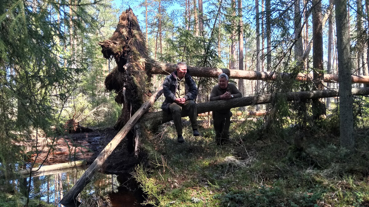 Фото здесь и далее из личного архива автора