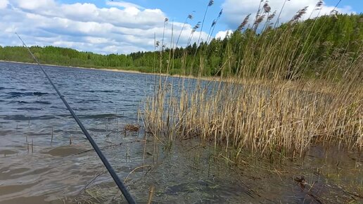 Озеро Рязановское в начале мая. Релакс для рыбака.