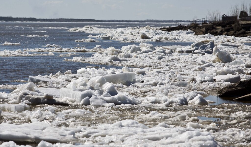    Ледоход в Сургуте ожидается 16 мая