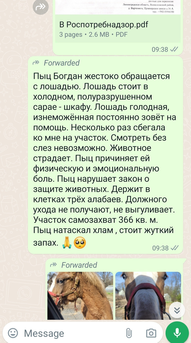 Орск, Ставрополь, Всеволожск, Вартемяги. Кто еще? Спасаем животных. | Ваш  юрист. АдвоКот | Дзен