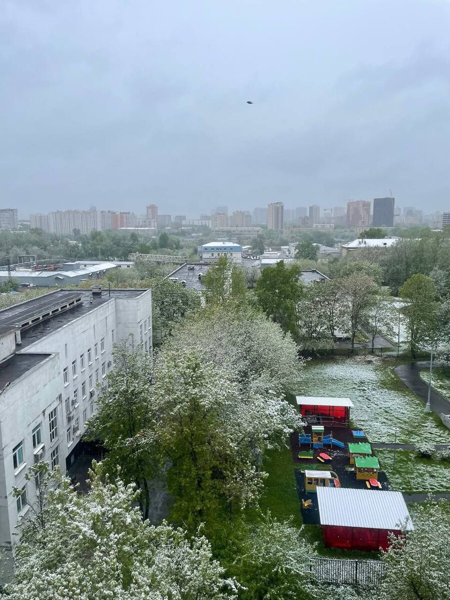 В Москве выпал майский снег, а горячую воду начнут отключать уже на ...