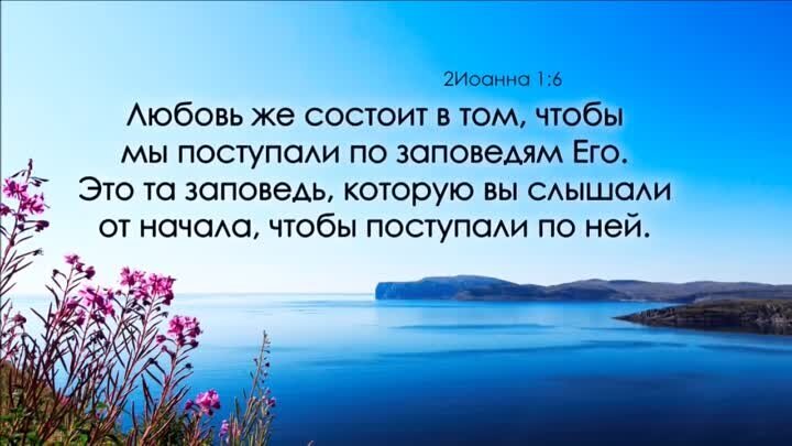 Источник: Яндекс. Картинки