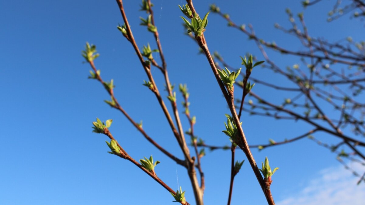 ИА SM-News Тюмень📷
