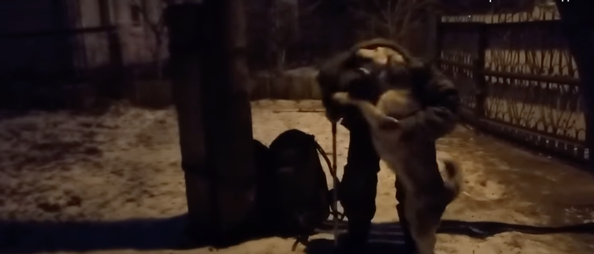 Фото: скриншот из видео