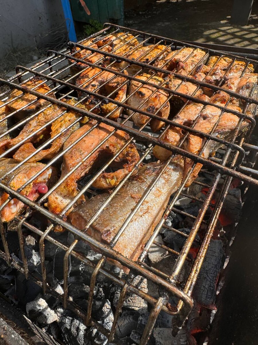 наш Топмангал