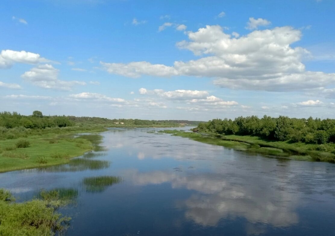 Река Молога, Вологодская область, Устюженский район. Фото с моста в поселке имени Желябова.