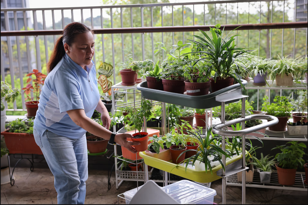 Фото: straitstimes.com