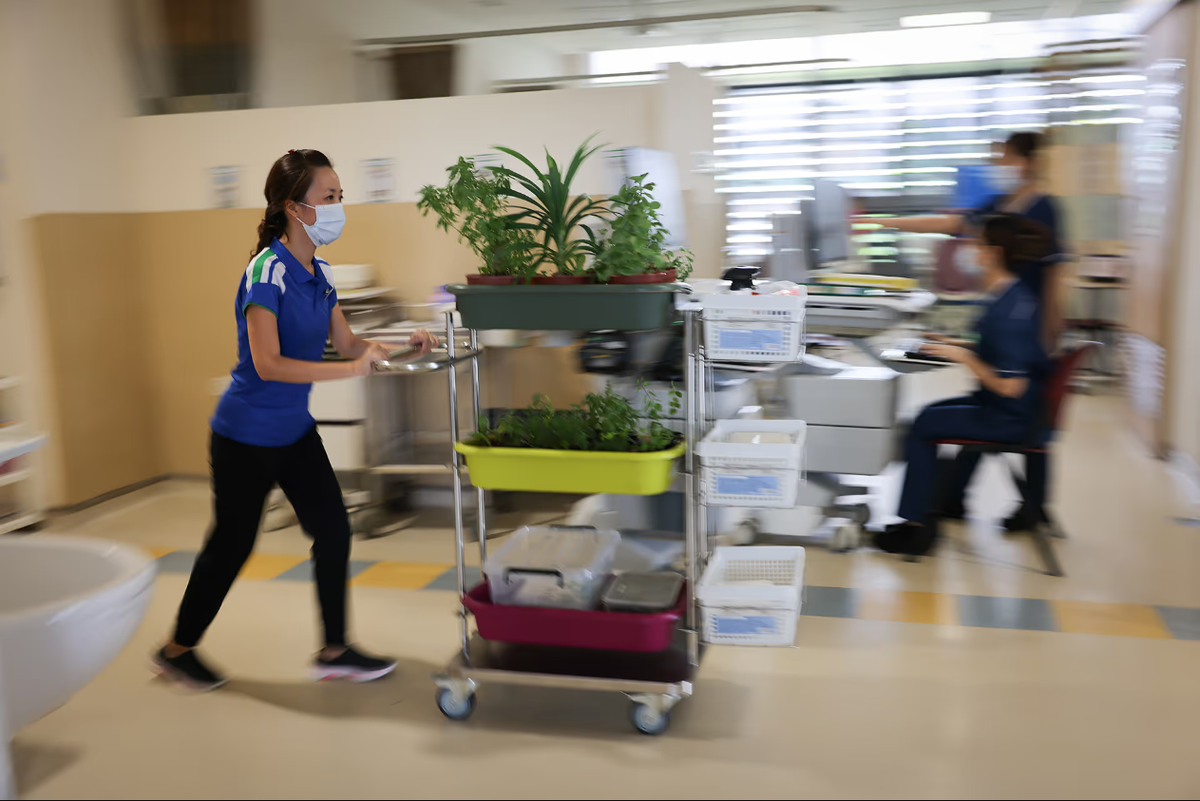 Фото: straitstimes.com