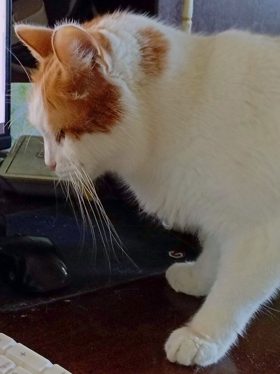 Вася идет на позицию