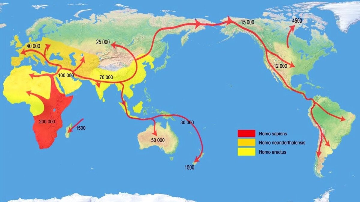 Примерные направления и этапы расселения сапиенсов (красный) по Земле. Для Америки указан срок в 15 000 лет назад, но стоянка в Монте-Верде (Чили) обычно датируется примерно 14 500 годами тому назад. За 500 лет преодолеть оба материка люди того времени не имели шансов. Впрочем, нужно понимать определенную условность хронологии той эпохи.
