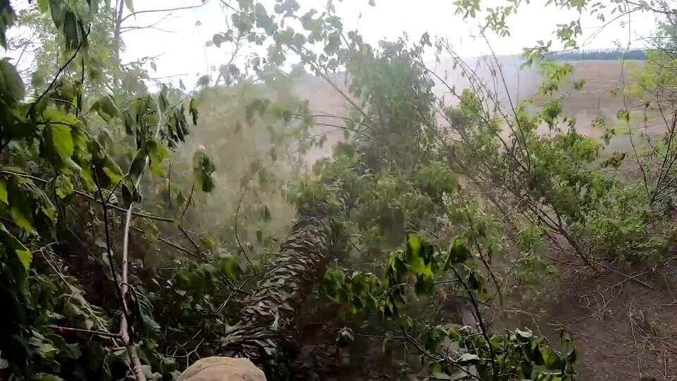 Фото: © Скриншот видео