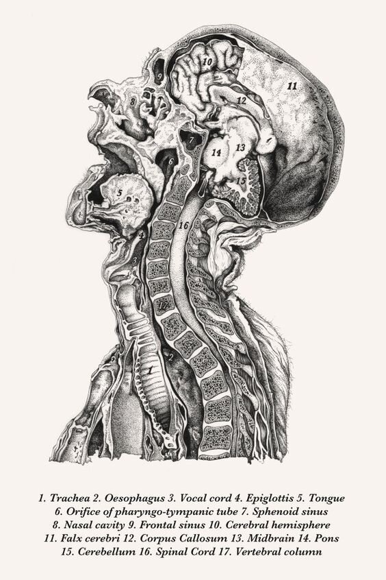 Добавьте описание