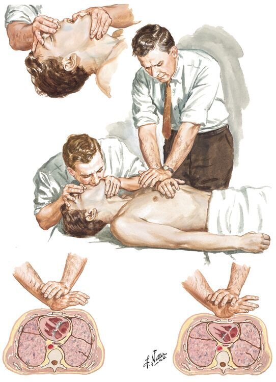 Добавьте описание