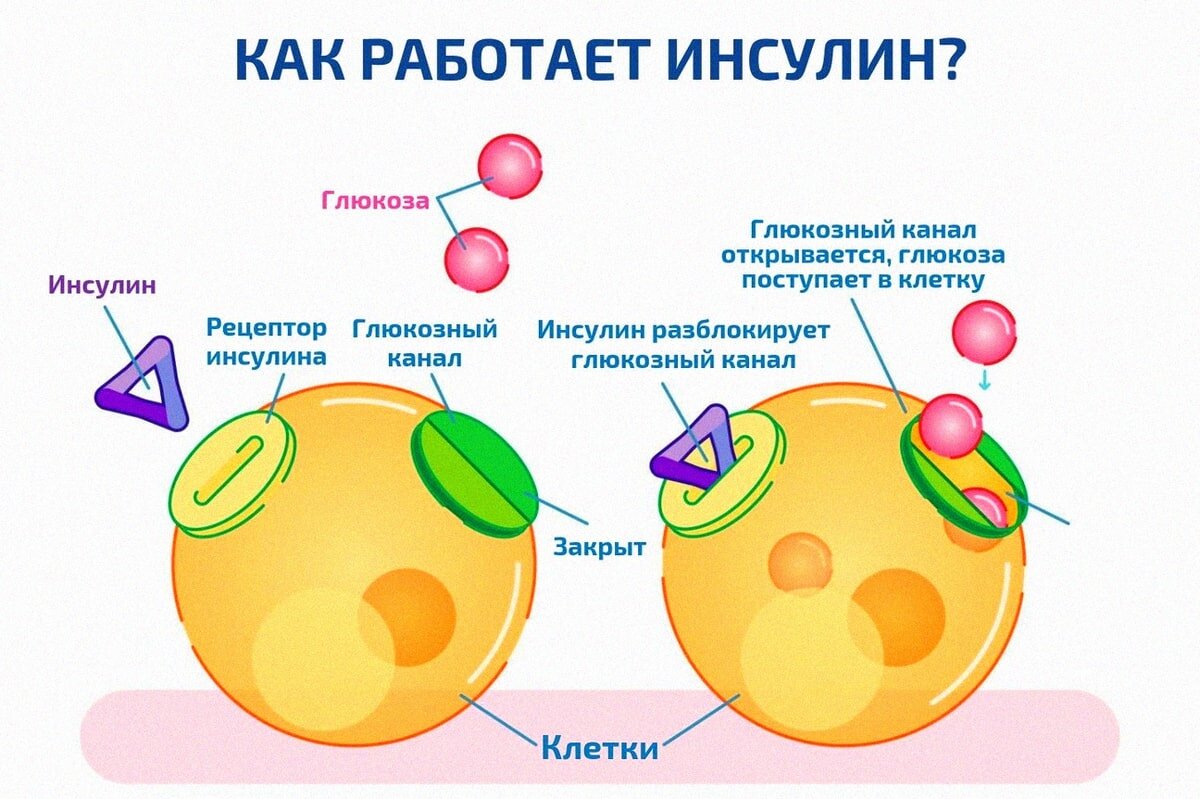 Пивной алкоголизм: «тихая» эпидемия. Как распознать зависимость от пива, и  к чему она приводит? Объясняет нарколог | Клиника доктора Шурова | Дзен