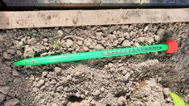 Термометры для почвы бывают разные. Смотрите на длину измерительной части и размер цифр на шкале. На таком их плохо видно 