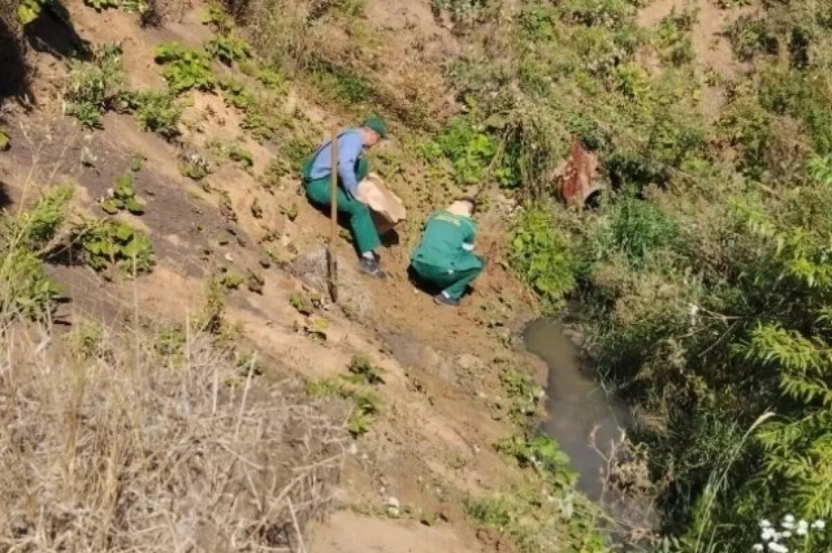    Обследование почвы показало превышение загрязняющих веществ.