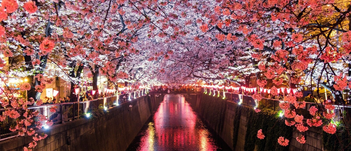 Источник: Unsplash/Sora Sagano