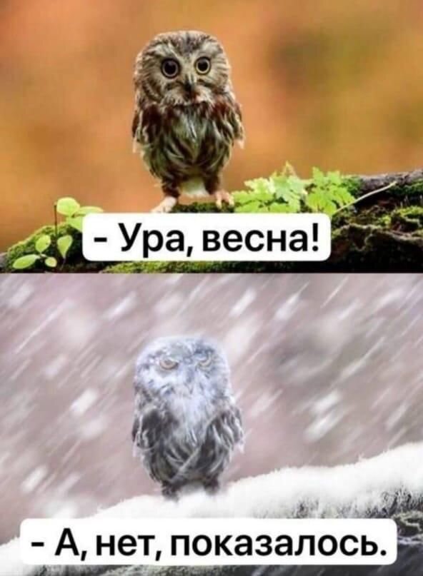 Улыбнитесь 😊