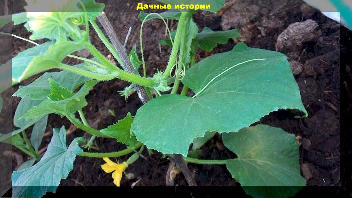 https://vk.com/photo-159774511_457265449