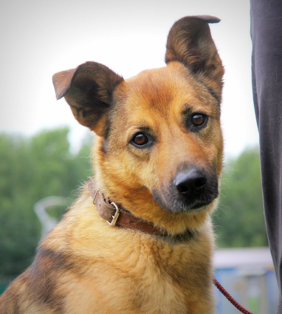 Знакомьтесь, Марго