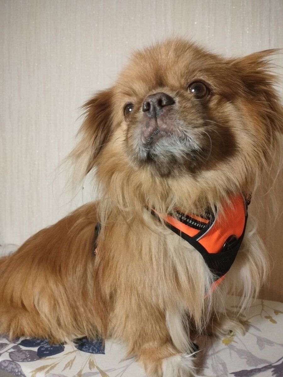    Фото: Артем Айсуаков