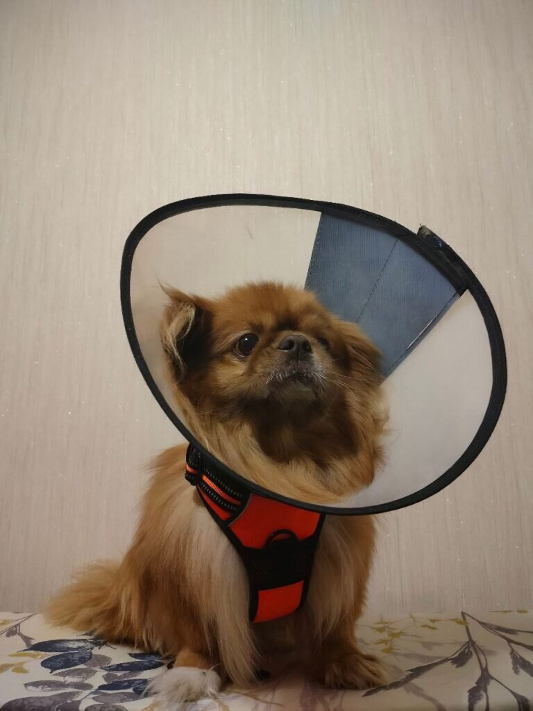 Фото: Артем Айсуаков