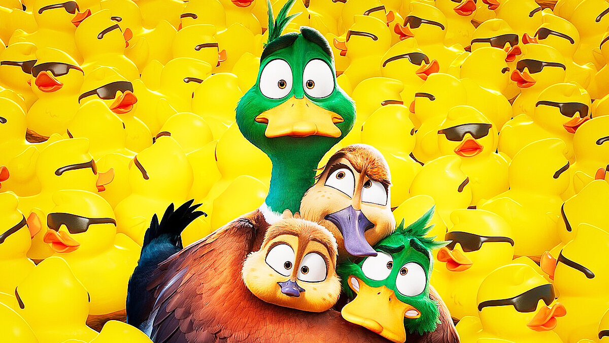 "Миграция", 2024 г.