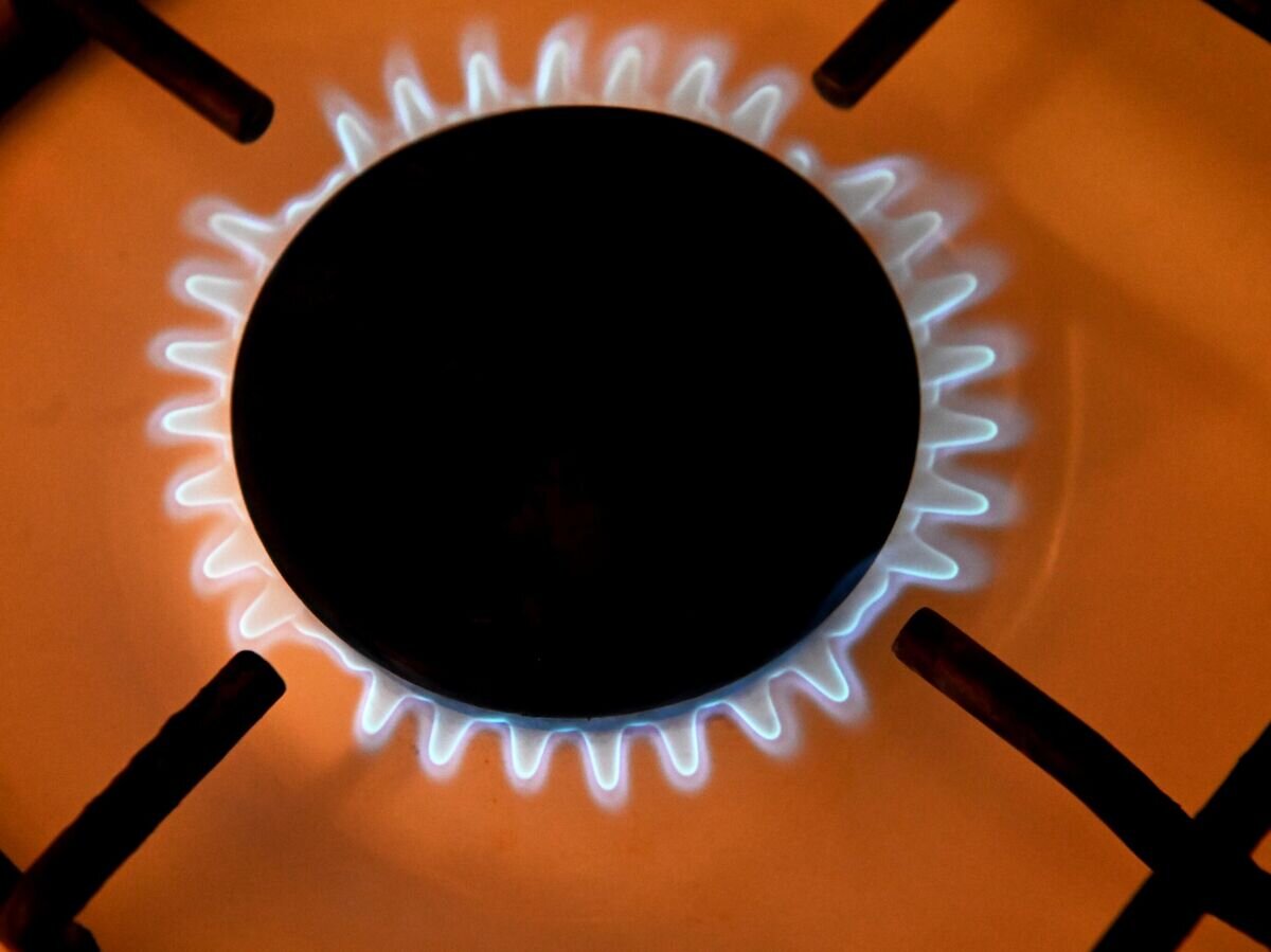    Включенная газовая конфорка© РИА Новости / Владимир Федоренко