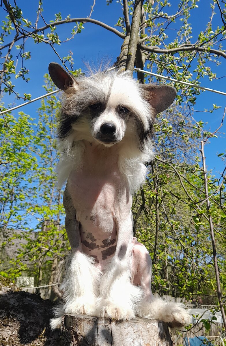 Пончик. 3,5 месяца.