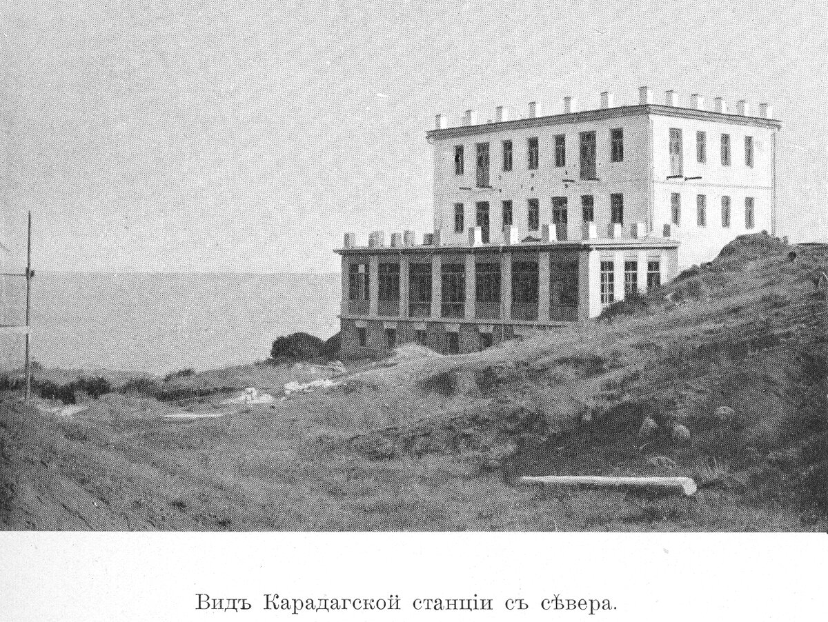  Известный филантроп и предприниматель Христофор Леденцов прославился тем, что в начале 20-го века оставил после себя завещание подобное Альфреду Нобелю.-4