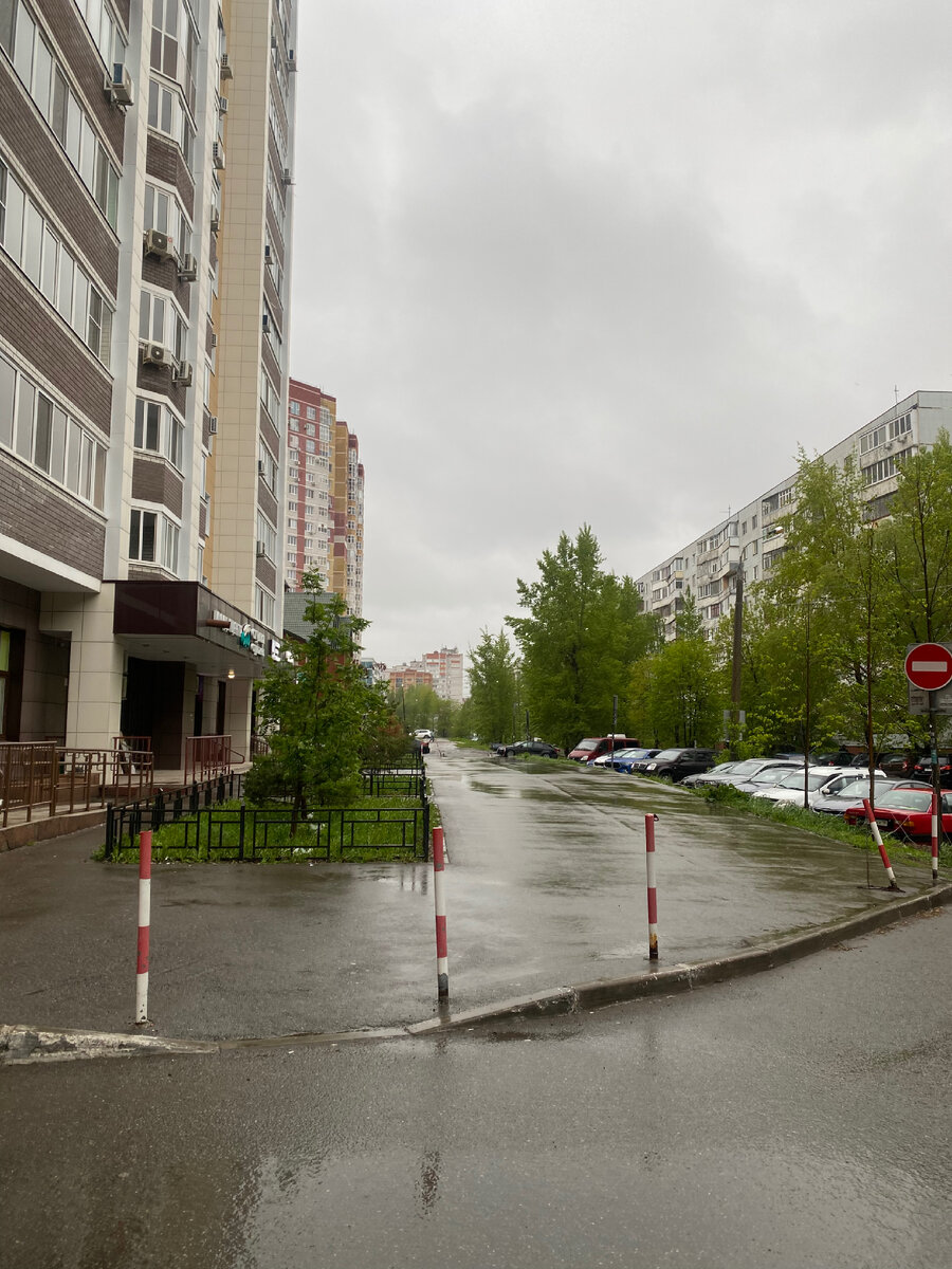 Как мы однажды на выставке побывали, а кусочек от этой выставки у меня дома  оказался!) | Мамуля бабуля Натуля | Дзен