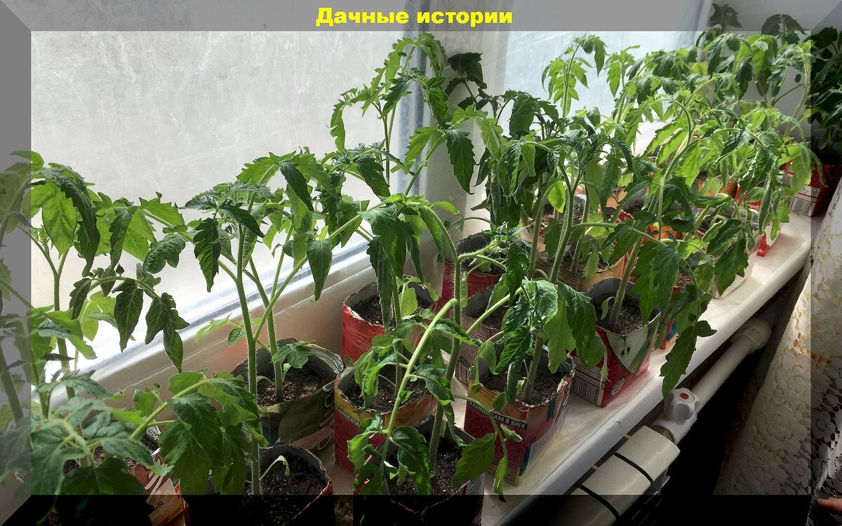https://vk.com/photo-159774511_457265459