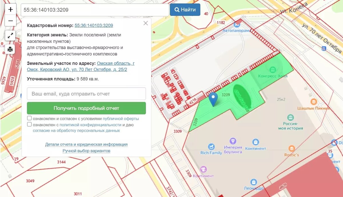     Источник: Публичная кадастровая карта Омской области