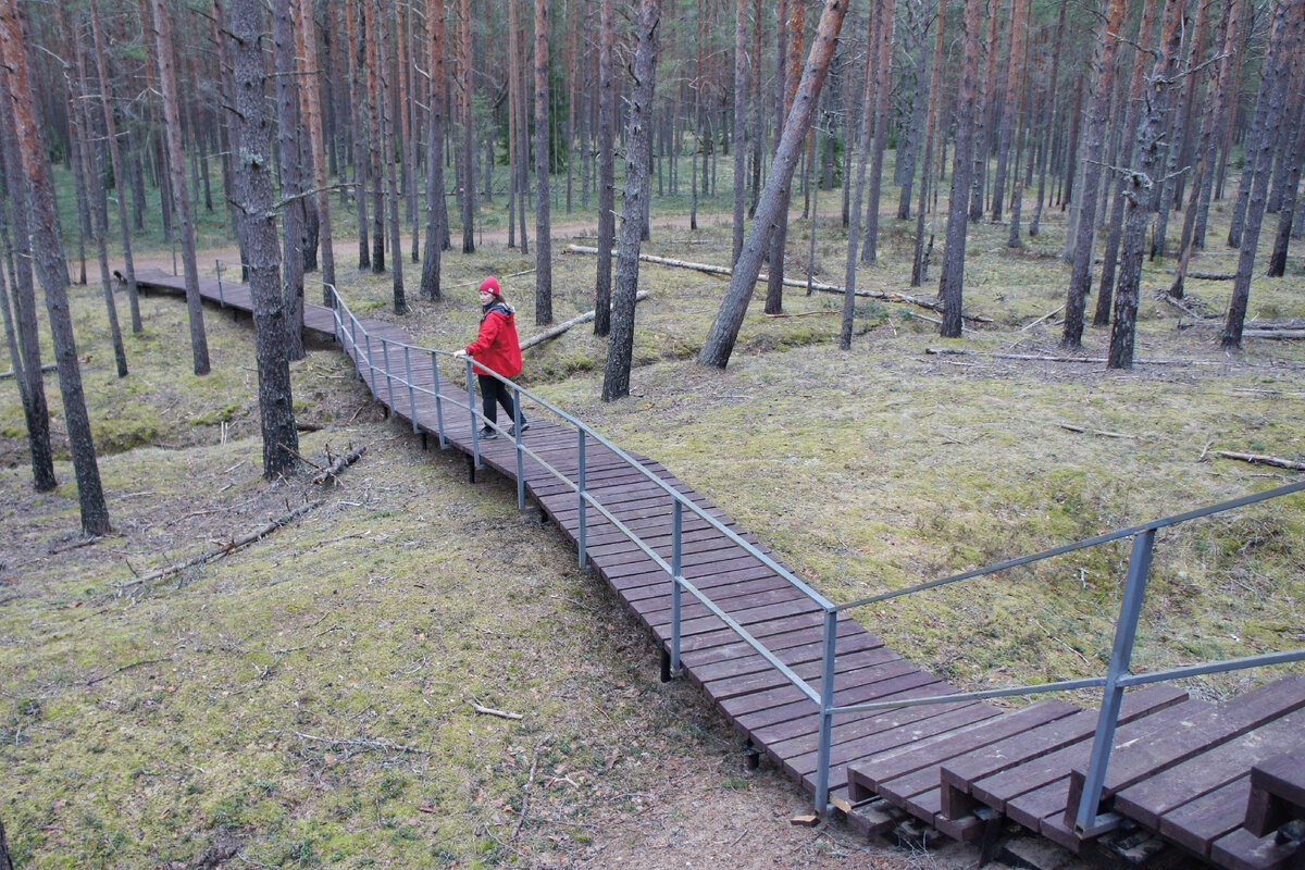 На маршруте. В статье все фотографии автора 