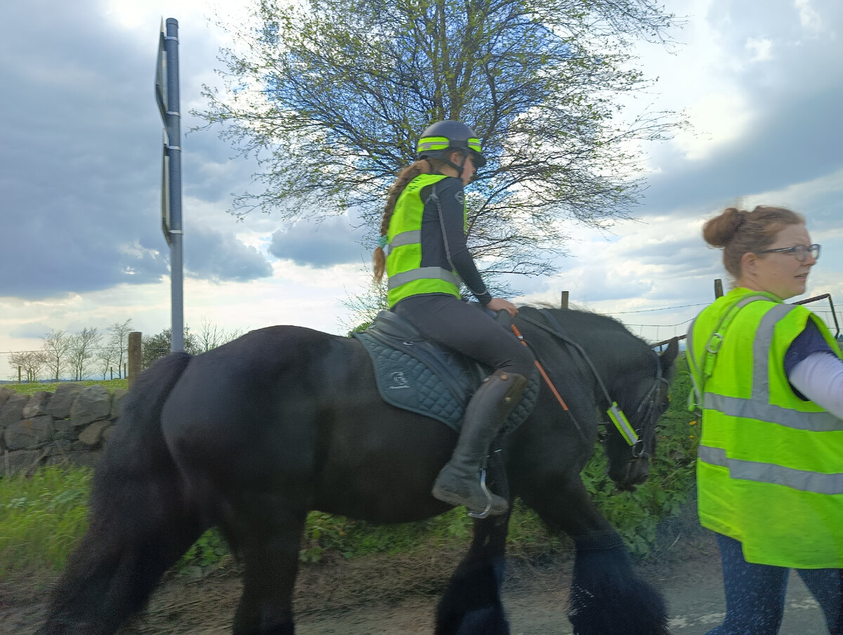 Из окна машины