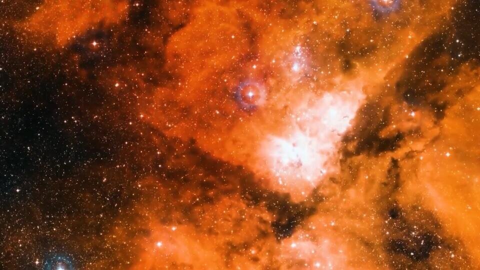 Фото: © Скриншот видео