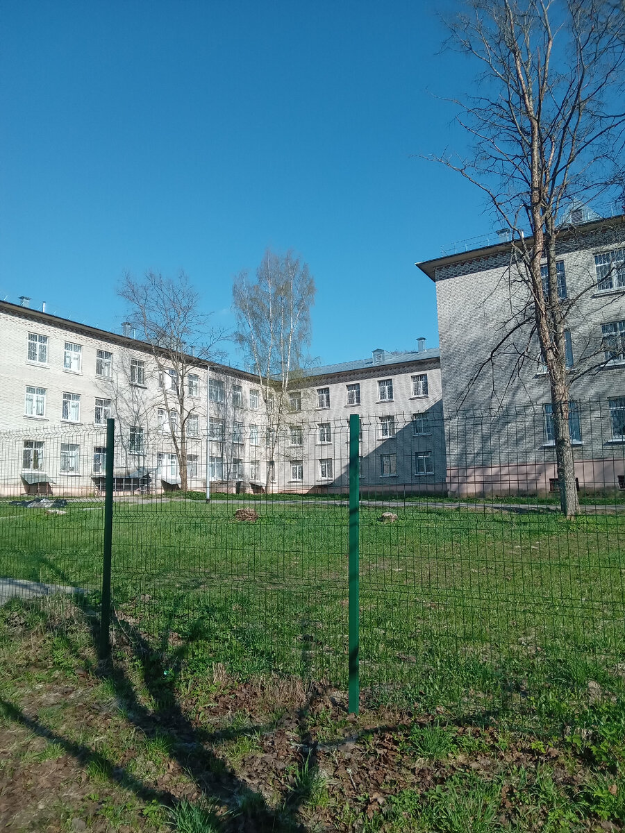 " Мой" больничный корпус. Фото с прогулки . Ещё не распустились почки на деревьях,  но уже зеленеет трава 🌿 