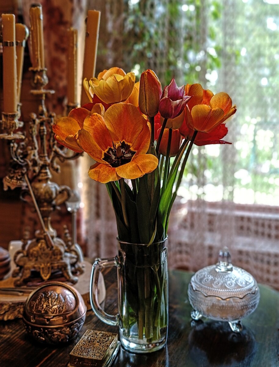 Кротам грамоту за луковицы тюльпанов.