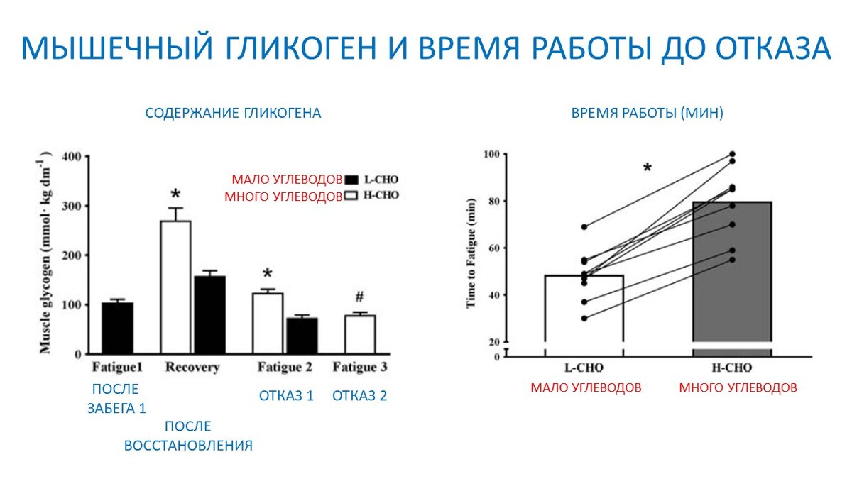 Гликоген и выносливость. Научный эксперимент | Василий Волков | Дзен