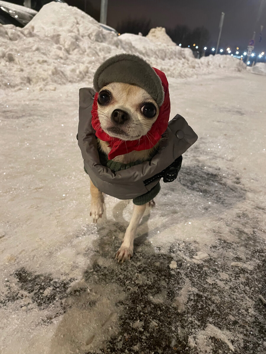 Платон и зима 